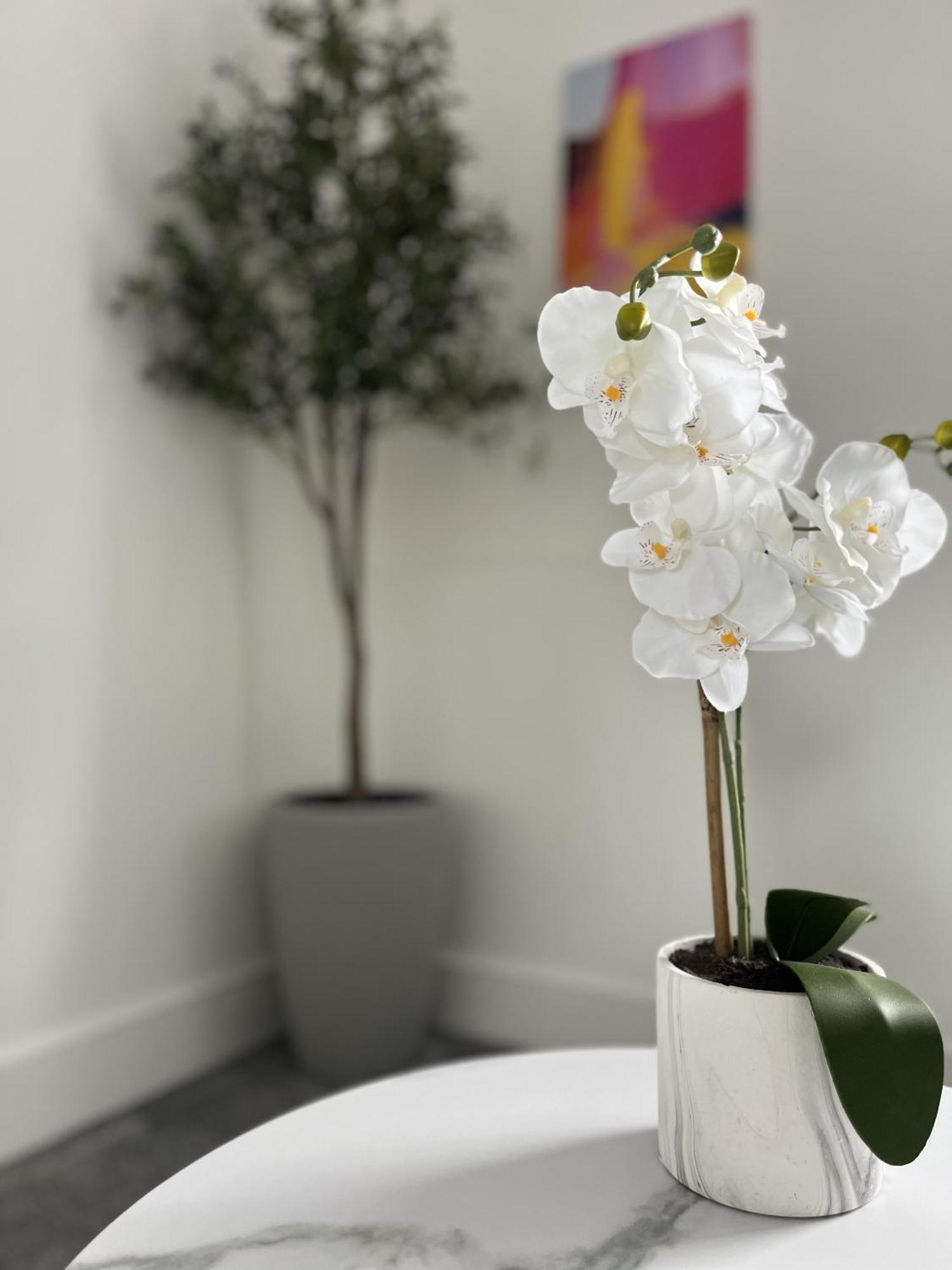 Luxury Norwich City Centre Apartment - Free Parking Exterior foto